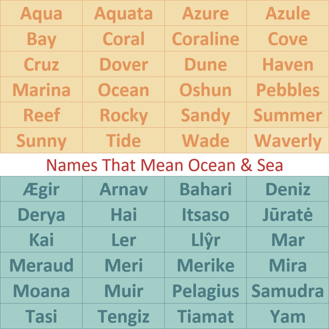 this-summer-head-to-the-seaside-with-stikins-name-labels